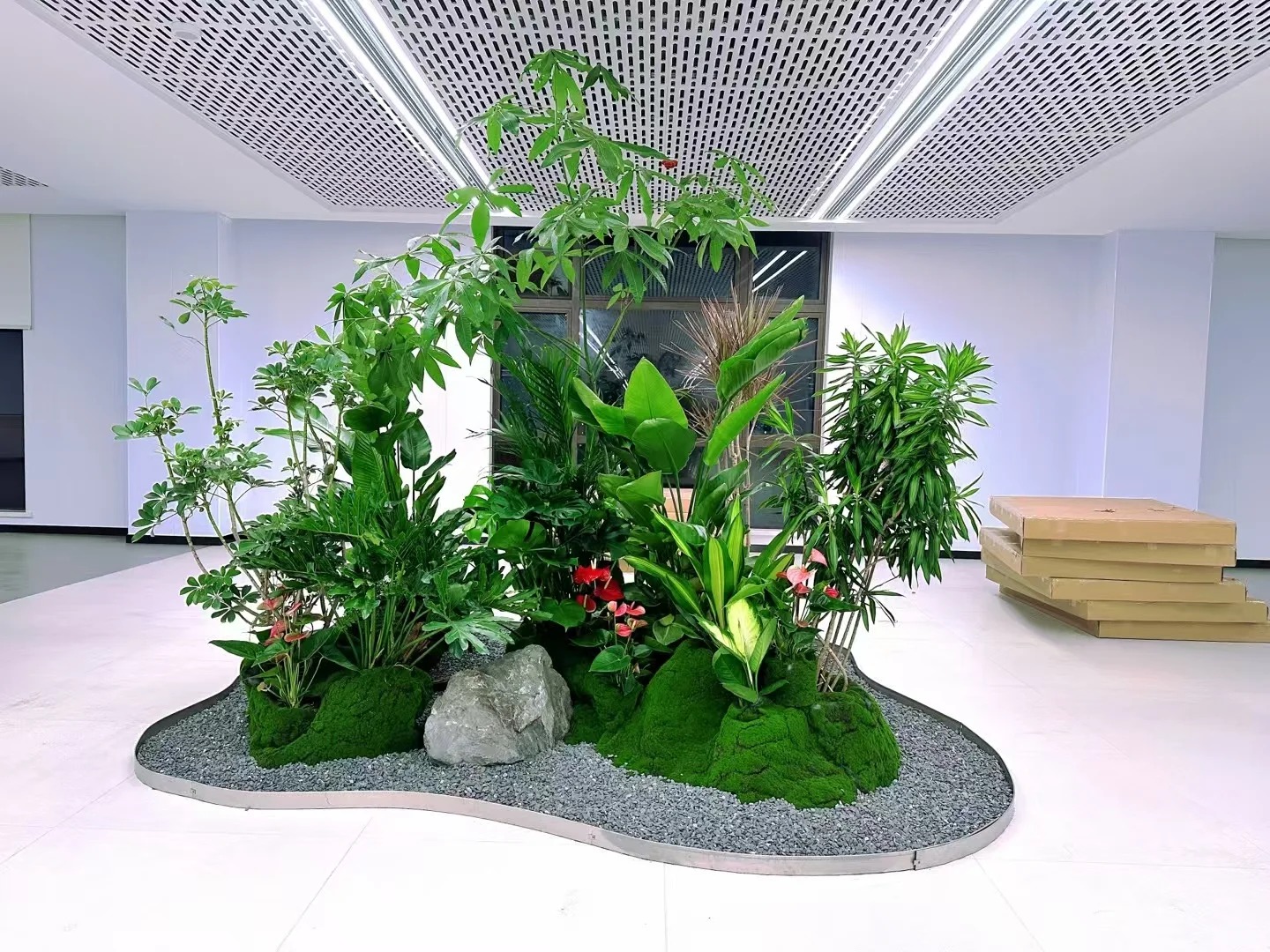 体验宁波花木租赁专业魅力，拥抱自然气息